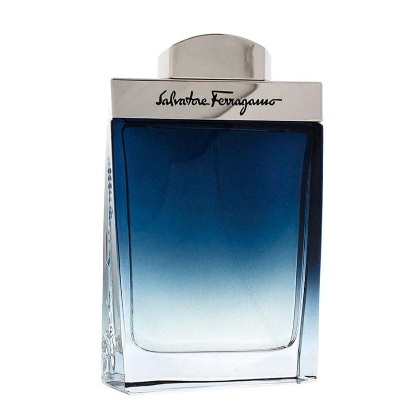 Salvatore Ferragamo Subtil edt 100ml Hombre - Salvatore Ferragamo - Default Title - Perfumisimo